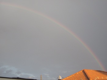 rainbow_01.jpg