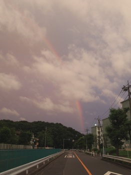 rainbow_02.jpg