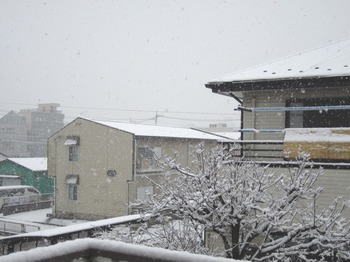 snow_01.jpg