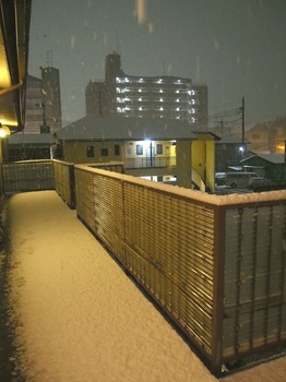 snow_night.jpg